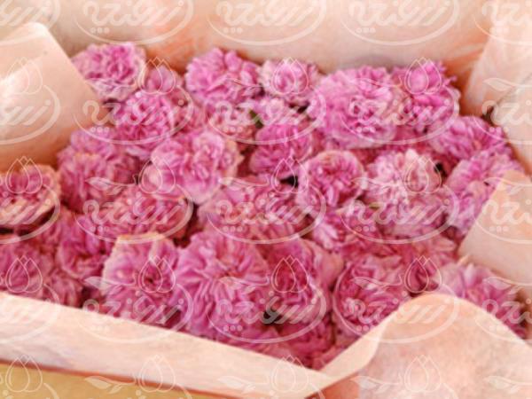 بسته بندی های مختلف غنچه گل محمدی